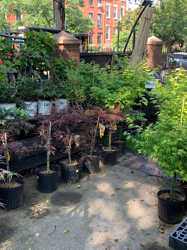 Hardware Store «Mazzone Hardware», reviews and photos, 470 Court St, Brooklyn, NY 11231, USA