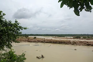 Nature View Gangrel image