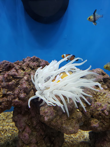 Pet Supply Store «Petco Animal Supplies», reviews and photos, 1574 N Dupont Hwy #300, Dover, DE 19901, USA