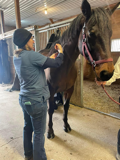 Dufferin Veterinary Services image