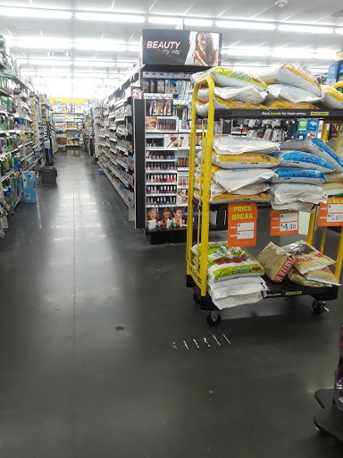 Discount Store «Dollar General», reviews and photos, 1851 E Silver Star Rd, Ocoee, FL 34761, USA