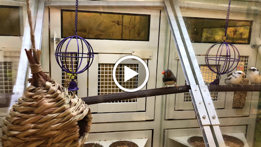 Pet Supply Store «PetSmart», reviews and photos, 3585 N Shiloh Dr, Fayetteville, AR 72703, USA