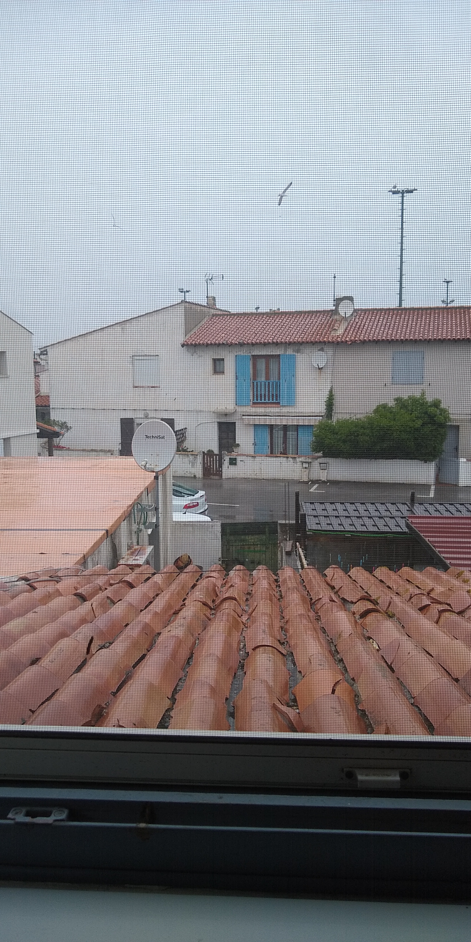 Photo n° 4 de l'avis de Dala.u fait le 22/05/2023 à 12:33