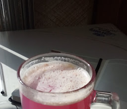 FONDA CHAPARRITA photo