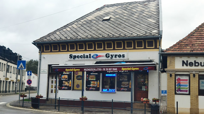 Special Gyros