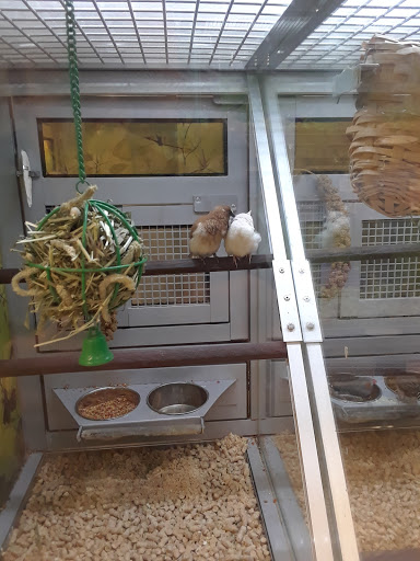 Pet Store «PetSmart», reviews and photos, 1580 Gateway Blvd, Fairfield, CA 94533, USA