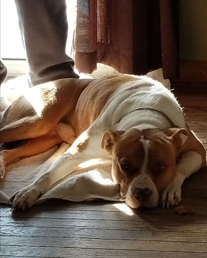 727 W White Horse Pike, Cologne, NJ 08213, USA