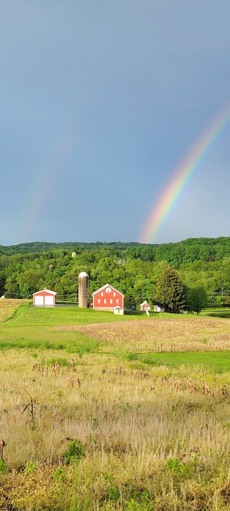 Kaits Hippie Hideaway 21158