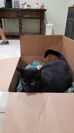 Auto Body Shop «Choice Collision Center», reviews and photos, 237 Oregon St, Mercersburg, PA 17236, USA