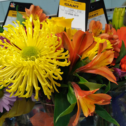 Grocery Store «Giant Food Stores», reviews and photos, 1465 W Broad St, Quakertown, PA 18951, USA