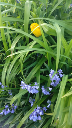 Park «West Seattle Golf Course», reviews and photos, 4600 35th Ave SW, Seattle, WA 98126, USA