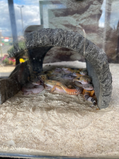 Pet Supply Store «Petco Animal Supplies», reviews and photos, 848 N Colony Rd c, Wallingford, CT 06492, USA