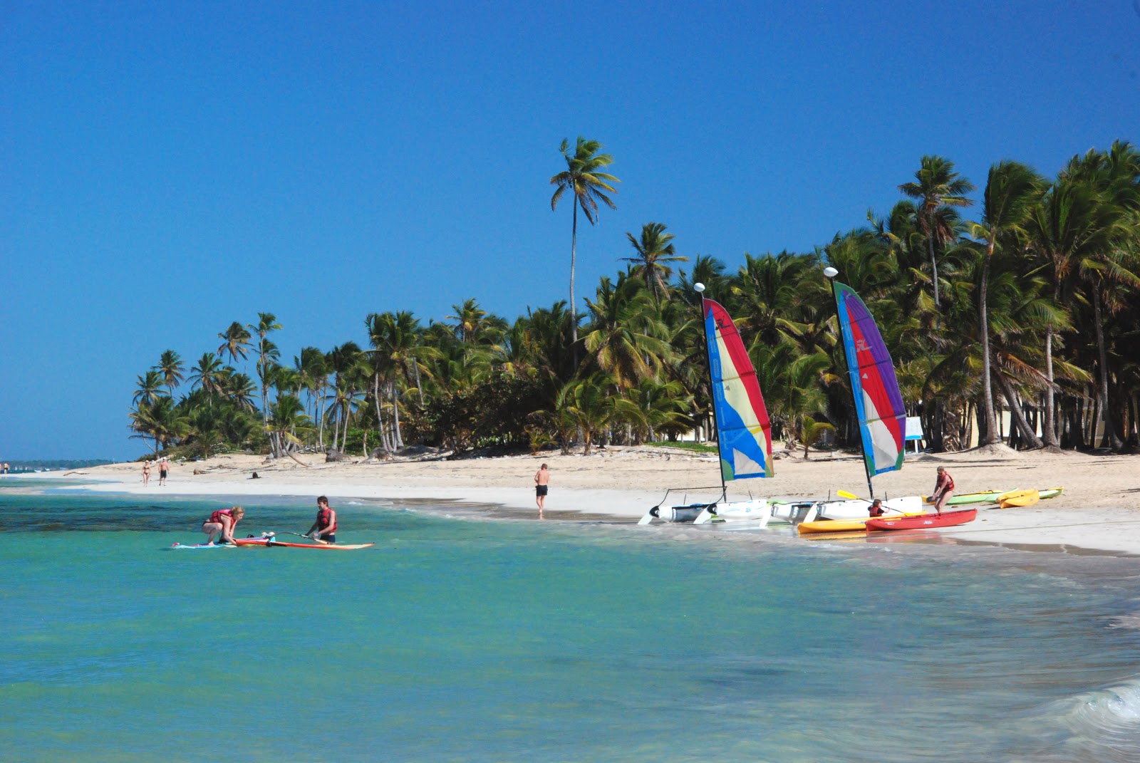 Zdjęcie Plaża Palmera - popularne miejsce wśród znawców relaksu
