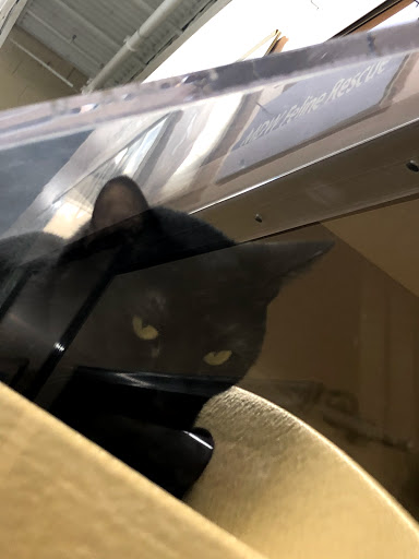 Pet Supply Store «PetSmart», reviews and photos, 156 Old Little Britain Rd, Newburgh, NY 12550, USA