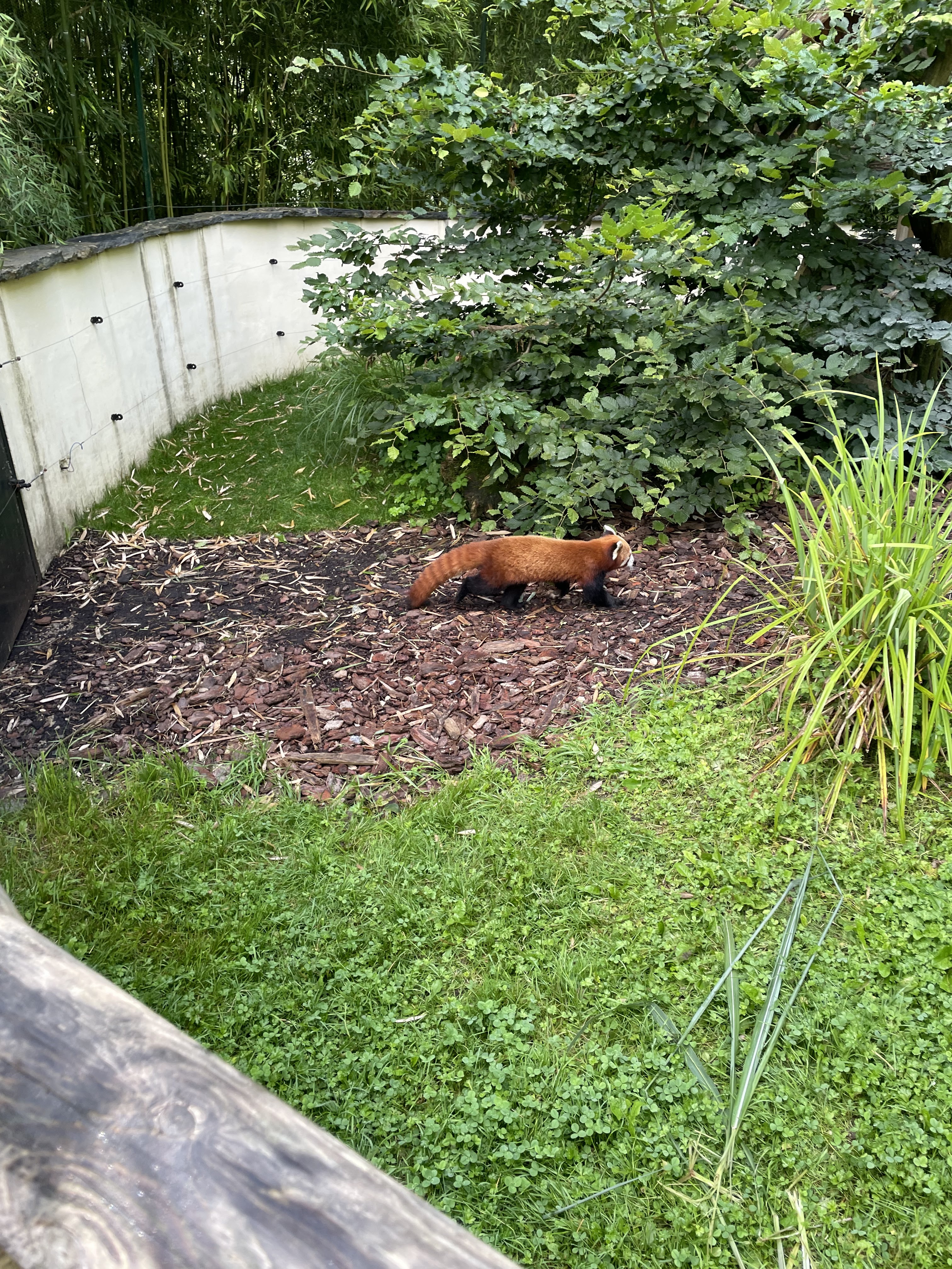 Photo n° 1 de l'avis de Chauveau.n fait le 31/08/2023 à 15:16