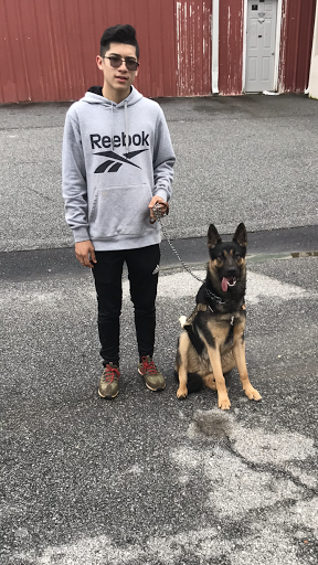 Pet Store «Tri-Creek Kennels», reviews and photos, 5641 US-129, Pendergrass, GA 30567, USA