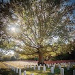 Hampton National Cemetery Section E Grave 98A