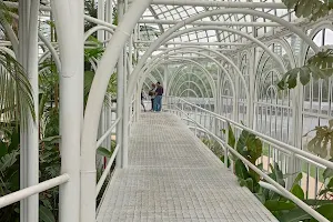 Estufa do Jardim Botânico de Curitiba image