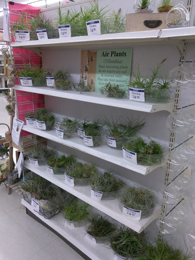 Craft Store «Ben Franklin», reviews and photos, 15756 Redmond Way, Redmond, WA 98052, USA