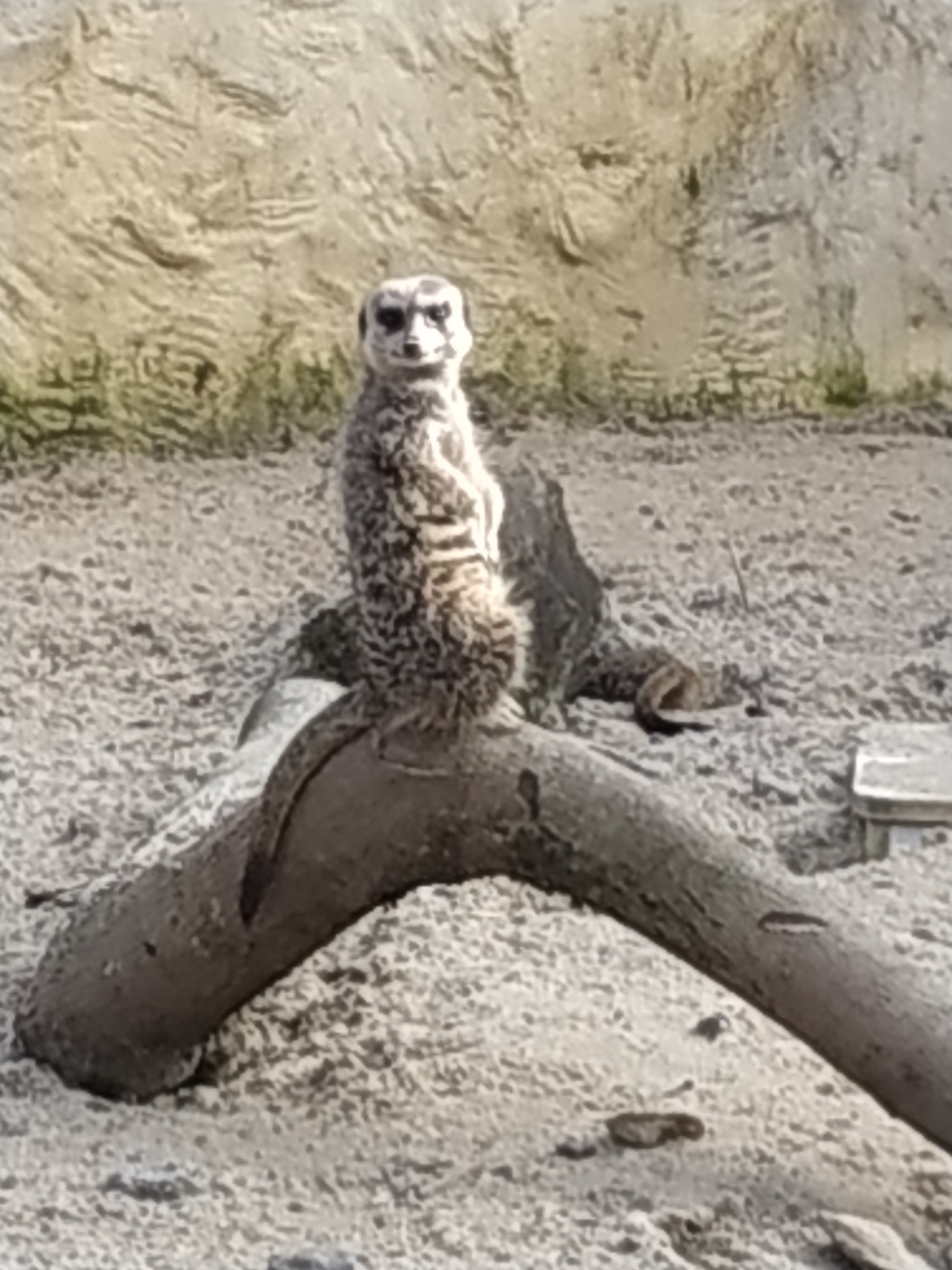 Photo n° 3 de l'avis de VENUS.A fait le 25/02/2019 à 17:52