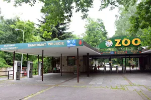 New Zoo image