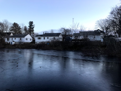 Nature Preserve «Dolan Pond Conservation Area», reviews and photos, Webster Park, West Newton, MA 02465, USA