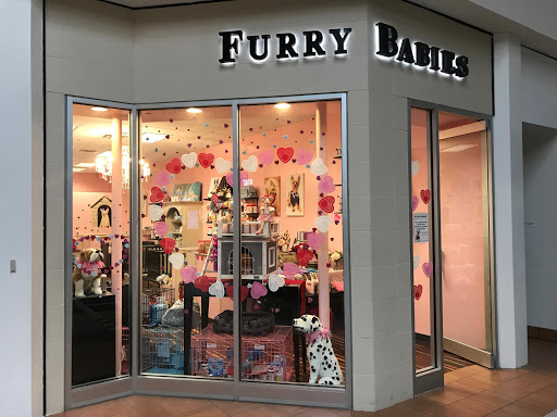 Pet Store «Furry Babies Inc», reviews and photos, 3340 Mall Loop Dr, Joliet, IL 60431, USA