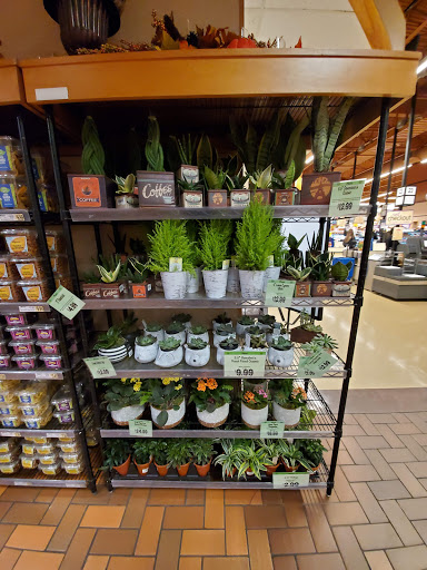 Supermarket «Wegmans», reviews and photos, 4960 Transit Rd, Depew, NY 14043, USA