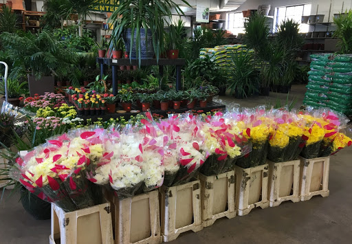 Florist «Cityside Flowers - Metropolitan Wholesale», reviews and photos, 285 N Midland Ave, Saddle Brook, NJ 07663, USA