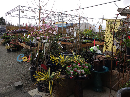 Hardware Store «Ace Hardware», reviews and photos, 1720 Q Ave, Anacortes, WA 98221, USA