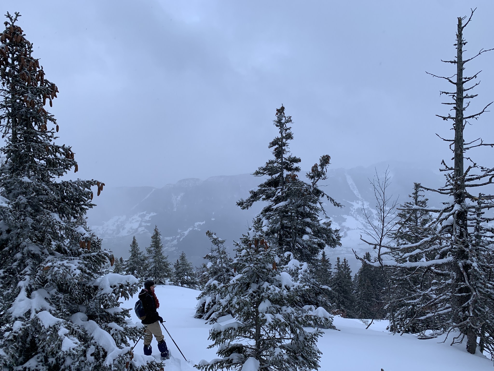 Photo n° 1 de l'avis de Harpeges. fait le 29/12/2020 à 17:25