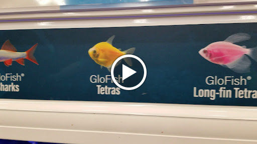 Pet Supply Store «Petco Animal Supplies», reviews and photos, 1320 E Lincoln Way p101, Sparks, NV 89434, USA