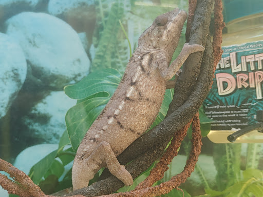 Pet Supply Store «Petco Animal Supplies», reviews and photos, 10383 Reisterstown Rd, Owings Mills, MD 21117, USA