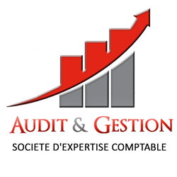 Audit et Gestion - Expertise Comptable à Orchies