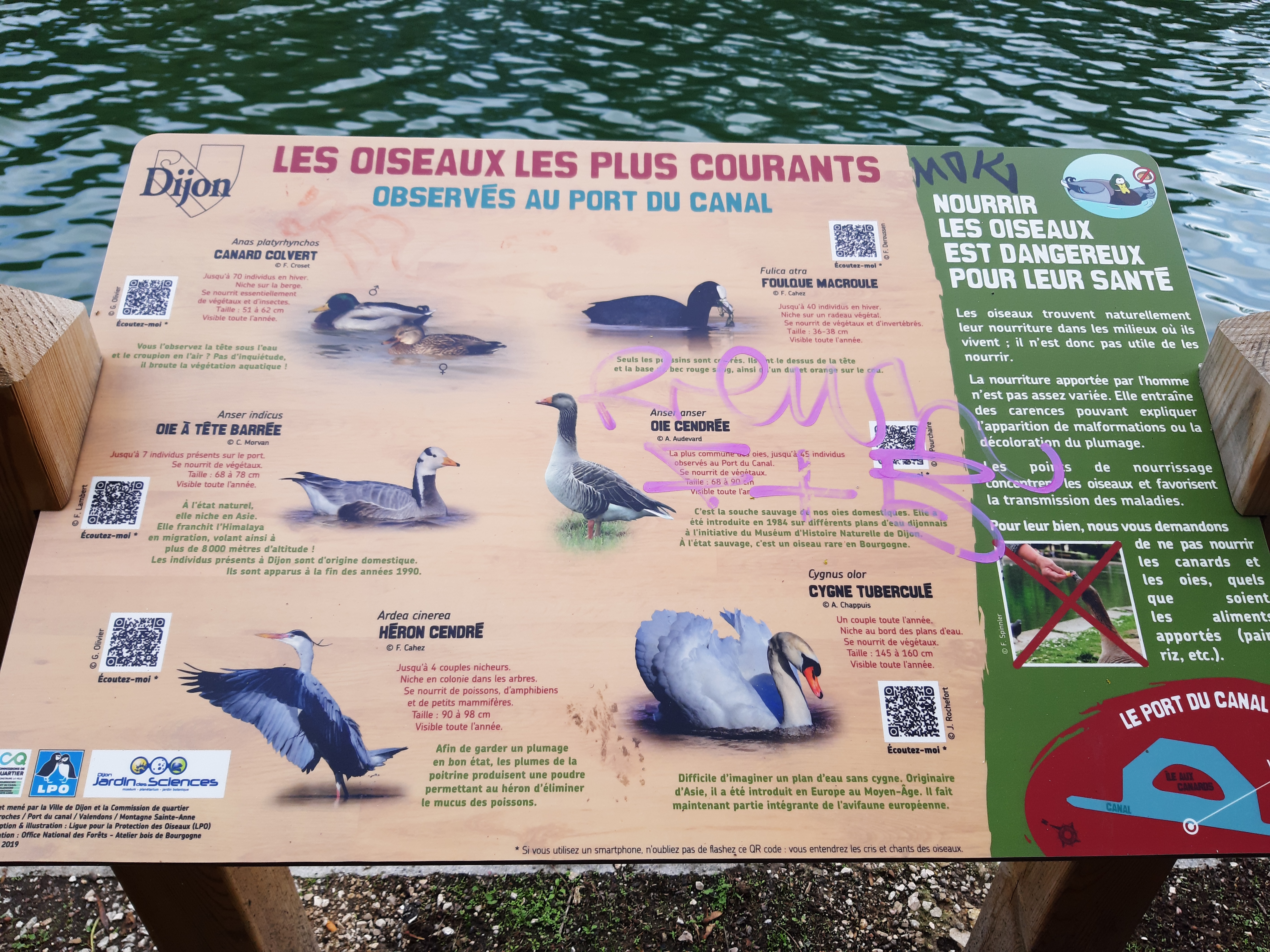 Photo n° 2 de l'avis de Marie.e fait le 04/10/2020 à 17:04