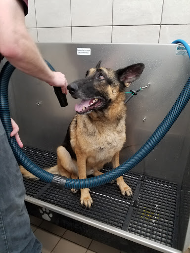 Pet Supply Store «Pet Supplies Plus», reviews and photos, 2912 Council Tree Ave #100, Fort Collins, CO 80525, USA