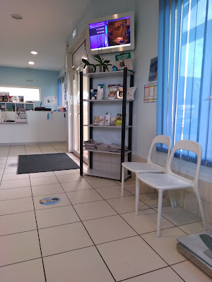 Clinique vétérinaire des 4 vents à Launaguet