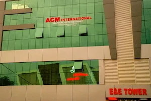 ACM International Martial Arts Association image