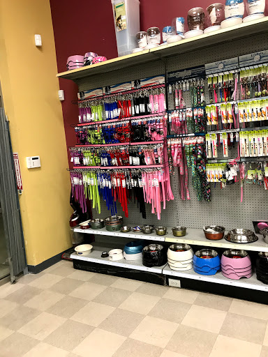 Pet Store «Petland Vineyard - San Antonio», reviews and photos, 1309 North Loop 1604 W #101, San Antonio, TX 78258, USA