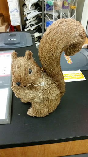 Department Store «T.J. Maxx», reviews and photos, 700 Broadway, Westwood, NJ 07675, USA