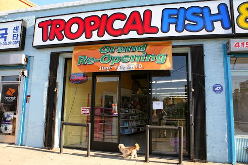 Fumi's Tropical Fish & Pets