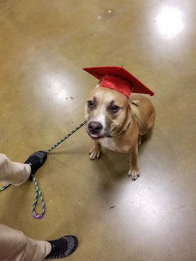 Pet Supply Store «PetSmart», reviews and photos, 573 N McKinley St, Corona, CA 92879, USA