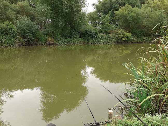 Ferryboat Farm Fisheries - Doncaster