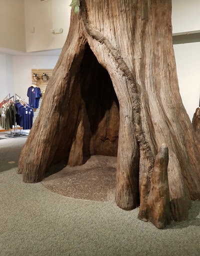 National Park «Congaree National Park», reviews and photos