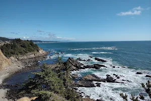 Cape Arago State Park image