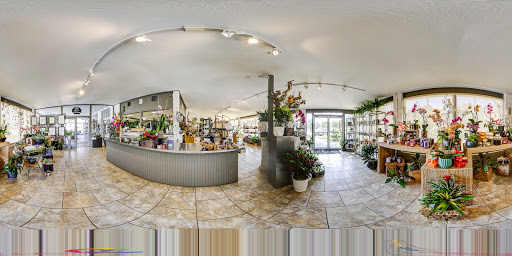 Florist «Dr Delphinium Flower & Orchid House», reviews and photos, 513 W Campbell Rd, Richardson, TX 75080, USA