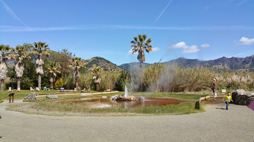 Tourist Attraction «Old Faithful Geyser of California», reviews and photos, 1299 Tubbs Ln, Calistoga, CA 94515, USA