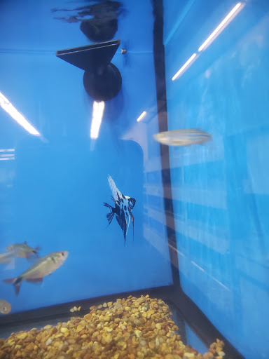 Pet Supply Store «Petco Animal Supplies», reviews and photos, 1310 Tingle Cir E b, Mobile, AL 36606, USA