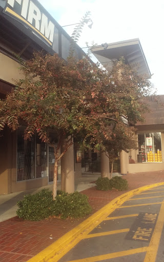 Shopping Mall «Ansley Mall», reviews and photos, 1544 Piedmont Ave NE, Atlanta, GA 30324, USA