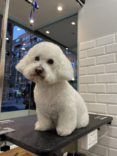 Peluquería canina La Pelu De Ricki - Servicios para mascota en Madrid